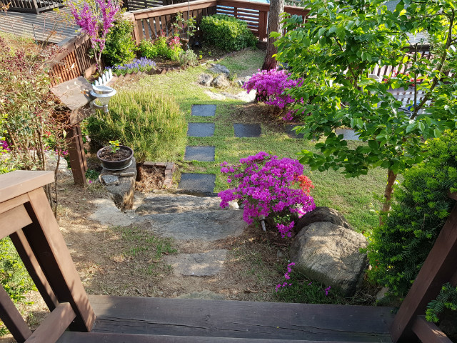 20190503_172003.jpg