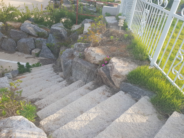 20190603_174911.jpg