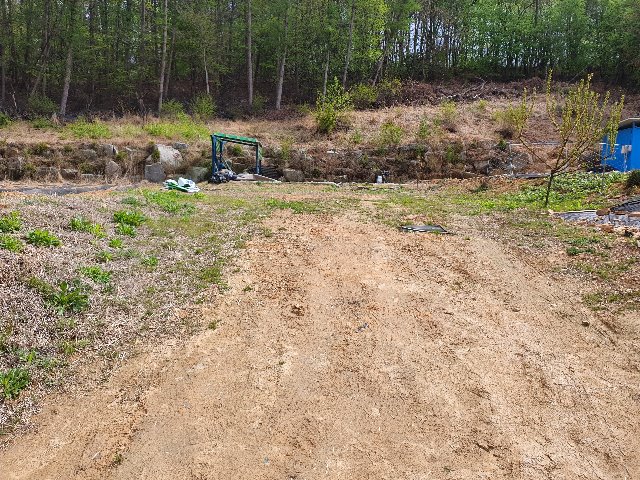 20200422_152034.jpg