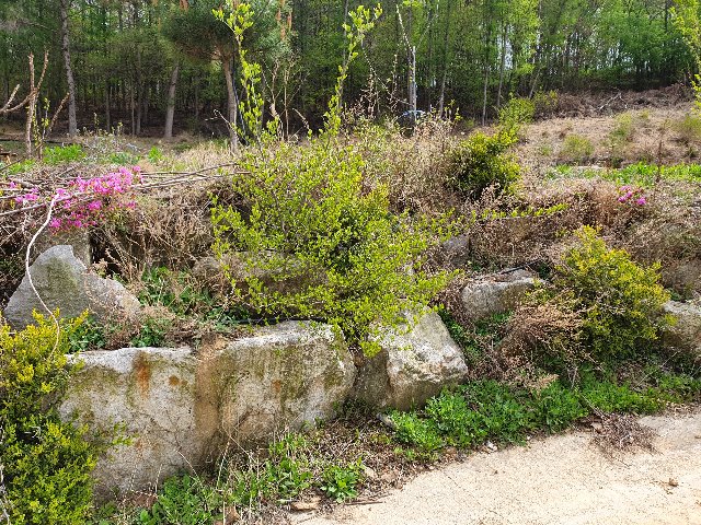 20200422_152021.jpg