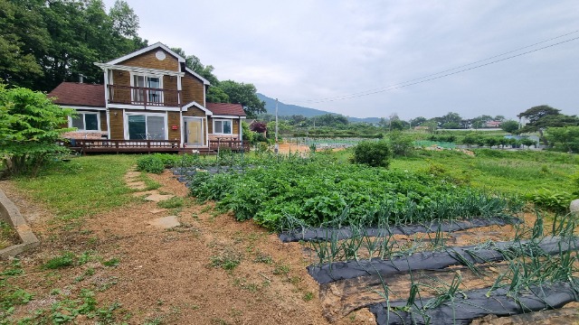 KakaoTalk_20250602_143343741_01.jpg