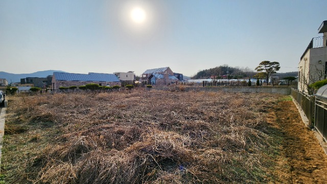 20250407_163823.jpg